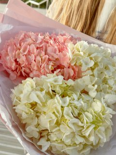 Нежный микс из 3 гортензий