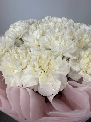 Букет 15 белых диантусов купить с доставкой в Набережных Челнах