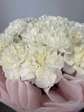 Букет 15 белых диантусов