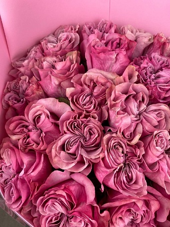 Букет 25 Пионовидных Ярких Роз Эквадор