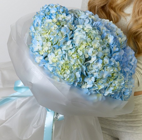 Букет 11 Гортензий голубых
