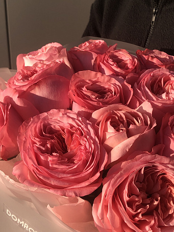 15 пионовидных роз