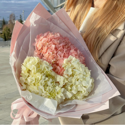 Нежный микс из 3 гортензий