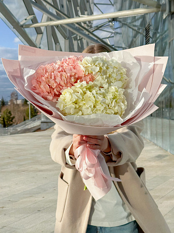 Нежный микс из 3 гортензий