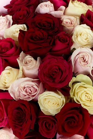 Букет 51 роза Эквадор Микс Нежный