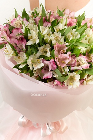 Букет 25 нежных альстромерий