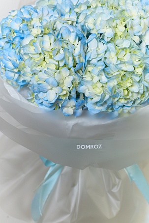 Букет 11 Гортензий голубых