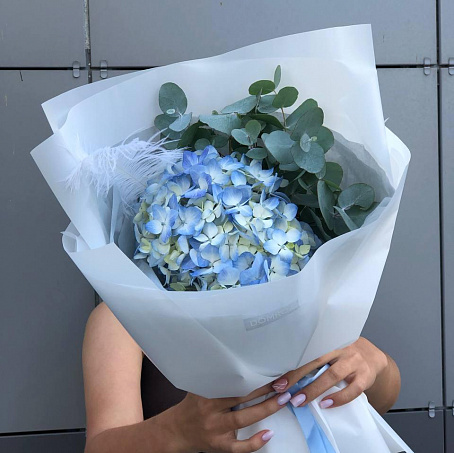 Гортензия с эвкалиптом