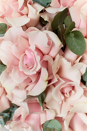 11 нежных розовых ажурных роз с эвкалиптом