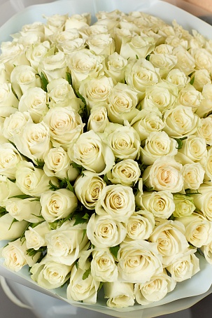 Букет 101 роза Кения Белая