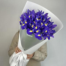 Ирисы синие