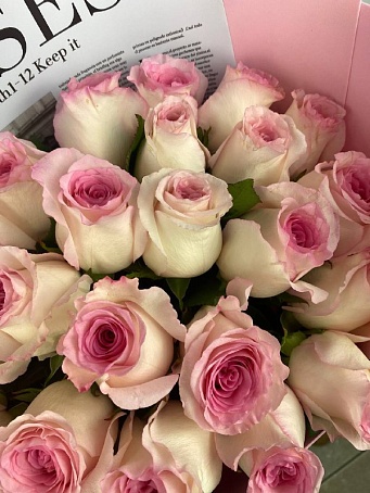 Букет 25 роз эквадор нежных