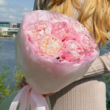 Пионы Сара Бернар