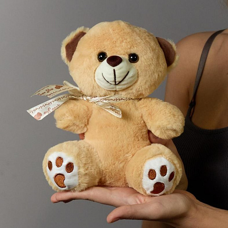 Игрушка Мишка