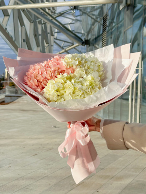 Нежный микс из 3 гортензий