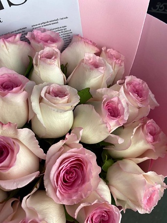 Букет 15 роз эквадор нежных