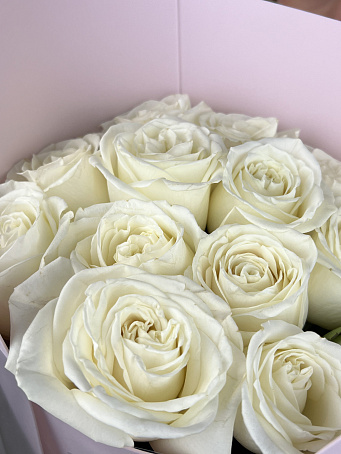 Букет 15 роз Эквадор Белоснежных