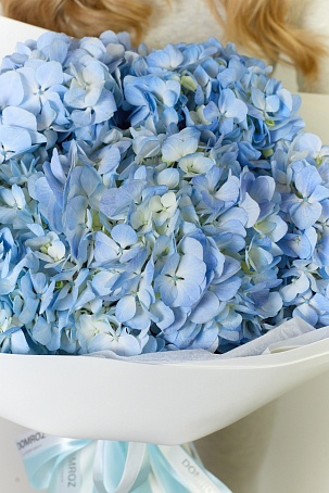 Букет 5 Гортензий голубых