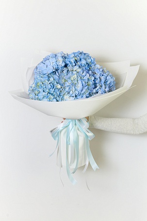 Букет 5 Гортензий голубых