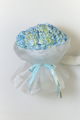 Букет 11 Гортензий голубых