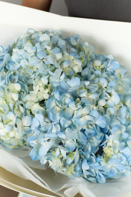 Букет 3 гортензии голубые купить с доставкой в Набережных Челнах