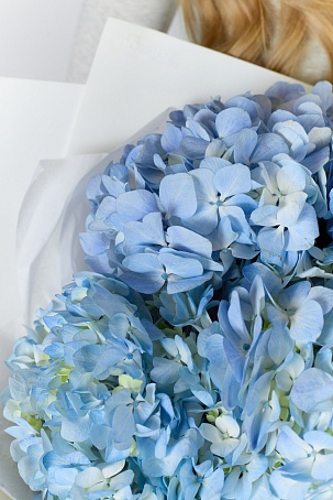 Букет 5 Гортензий голубых