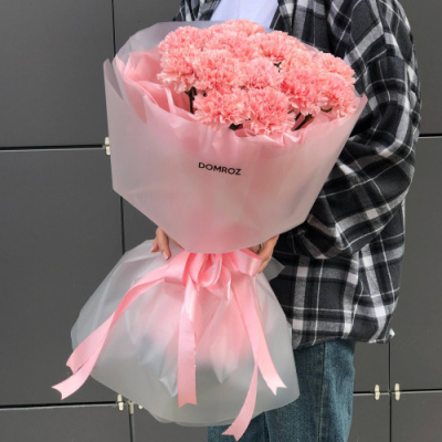 Букет 15 розовых диантусов