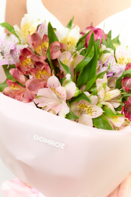 Букет 9 ярких альстромерий купить с доставкой в Набережных Челнах