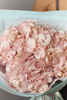 Букет 3 гортензии розовые купить с доставкой в Набережных Челнах